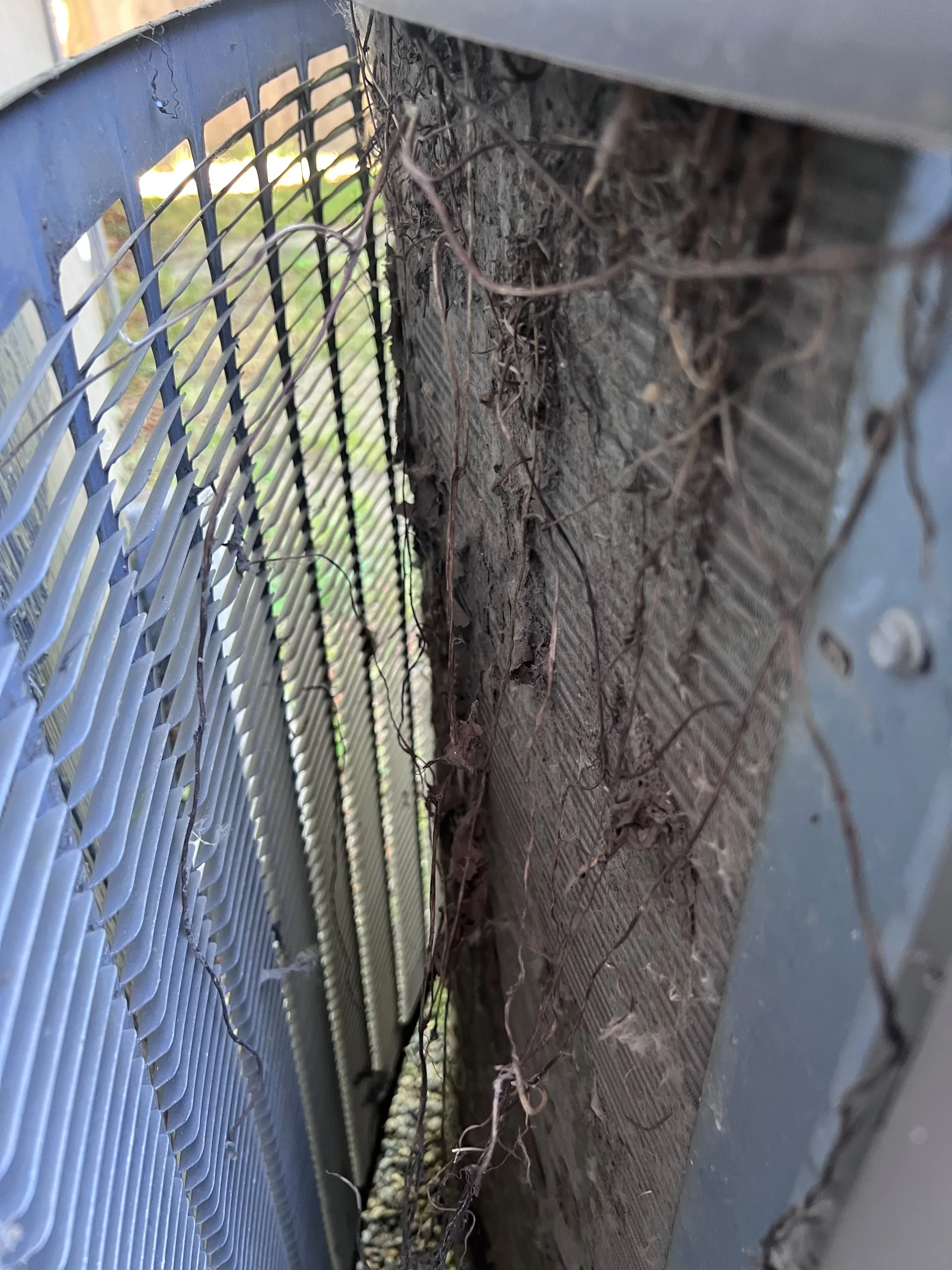 Close-up of severely dirty air conditioner condenser coils clogged with vines and debris, highlighting the need for summer AC maintenance in Portland.